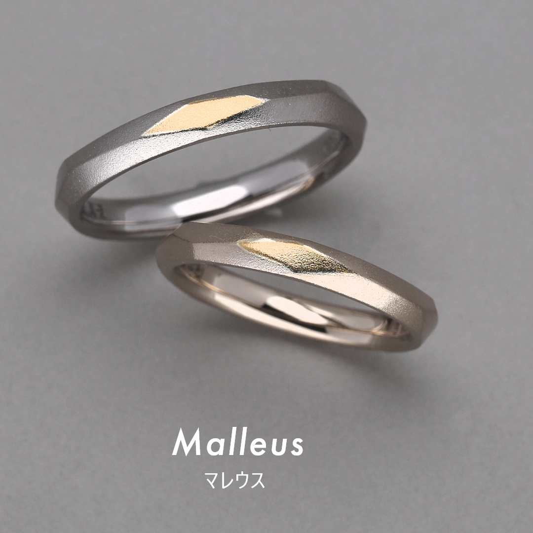 Malleus